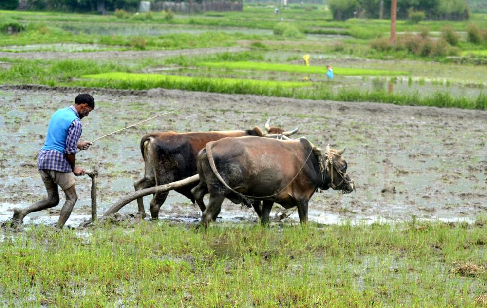 The Weekend Leader - Monsoon 2021 expected to rescue India's agriculture in FY22
